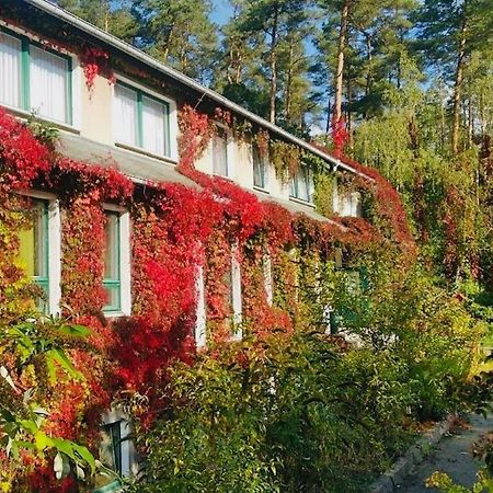 Pension Zur Fledermaus Waren  Esterno foto