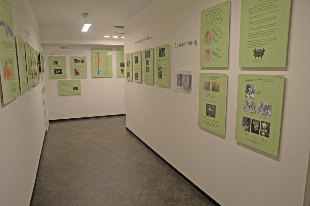 Pension Zur Fledermaus Waren  Esterno foto