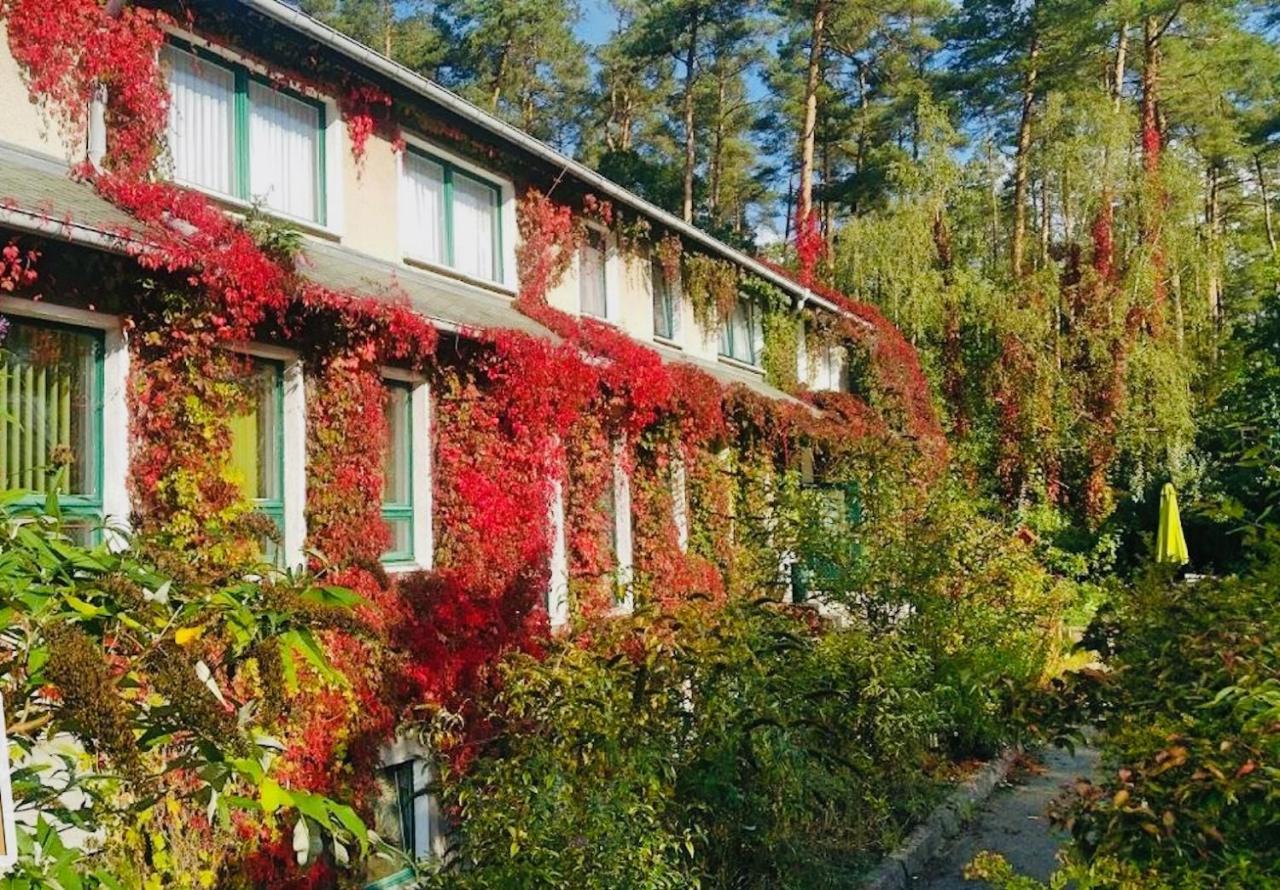 Pension Zur Fledermaus Waren  Esterno foto